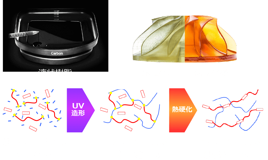 Dual stage curing　光と熱による硬化過程